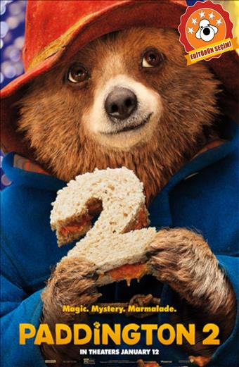 AYI PADDINGTON 2